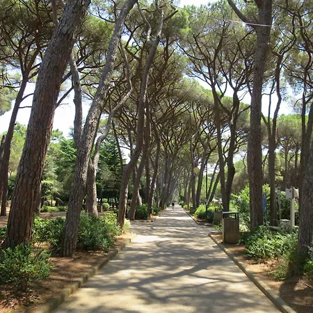 Saida By Interhome Rosignano Solvay